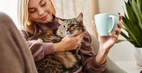 10 nomes ideais para gatos carinhosos 