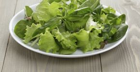 Foto: (Istock/GooDween123)