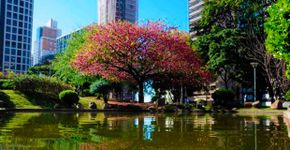As cidades mais sustentáveis do Brasil