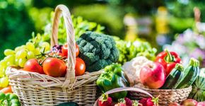Confira os melhores alimentos para se manter hidratado no verão