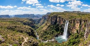 Cânions com paredões de até 300 metros, trilhas entre campos rupestres e uma das áreas mais antigas do planeta: o parque brasileiro de quase 240 mil hectares em Goiás que protege a biodiversidade da Chapada dos Veadeiros