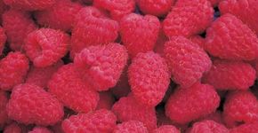 7 alimentos que ajudam a prevenir o câncer de mama