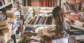Leia 305 livros gratuitamente no seu computador ou tablet