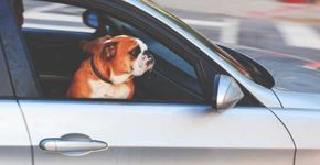 Site oferece 25% de desconto em aluguel de carro