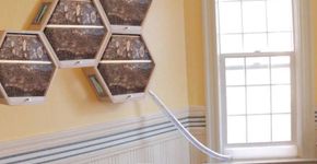 Colmeia modular estimula produção de mel caseiro