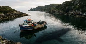 Pescador percebeu que o barco estava sendo acompanhado havia quase meia hora e só entendeu o tamanho do problema quando algo bateu com força no casco