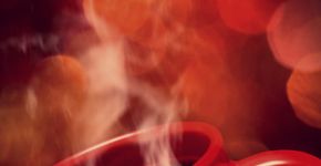 A vez da cafeína: visite a feira Expo Café Brasil