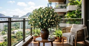 A árvore com o melhor aroma do mundo: aprenda a plantá-la em vasos e transforme sua varanda