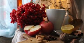 Foto: (Margaryta Iurchenko/istock)