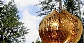 Dia da Árvore: Confira 10 casas para curtir a natureza