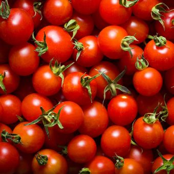 Featured mobile: Licopeno do tomate pode ajudar a proteger o cérebro contra o Parkinson, aponta pesquisa