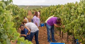 Foto: (Victor Carvalho/Turismo do Alentejo)
