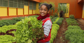 Projeto busca financiamento para instalar hortas educativas nas escolas de SP