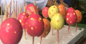 Em Pomerode (SC), alunos fazem arte em casquinhas de ovos