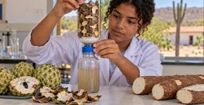Filha de agricultores do sertão pernambucano cria filtro com cascas de pinha para reduzir toxicidade de resíduos da mandioca e conquista prêmio nacional de inovação