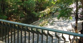 Caminhada e Relaxamento no Parque Trianon