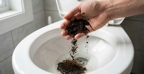 Colocar borra de café no vaso sanitário: para que serve e como fazer