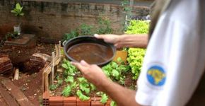 Agente é estuprada durante visita de combate à dengue no PR