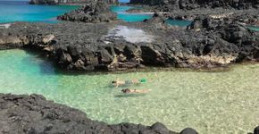Um guia para ir a Fernando de Noronha sem gastar muito