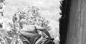 Fotógrafo captura leveza e treinamento dos monges shaolin