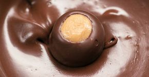 Bolinhas de creme de amendoim cobertas com chocolate