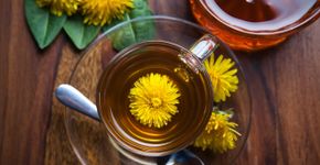 Foto: (manuel_adorf/istock)