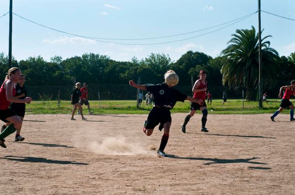 foto: Rodrigo Erib (divulgação)