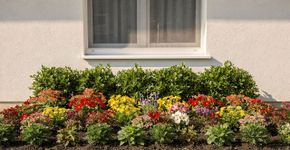 Um mini jardim de flores em frente à casa: como criar um canteiro de flores verdadeiramente luxuoso em um pequeno espaço sob a janela