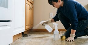 Quantas colheres de vinagre são necessárias para espantar os ratos de casa?
