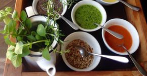 Brasileira idealiza selo para restaurantes de todo tipo