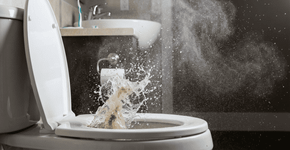 Eu entendi tarde demais por que a tampa do vaso sanitário deve ser fechada antes de dar a descarga