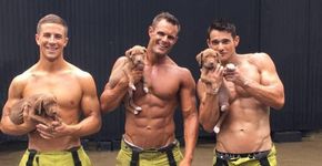 Bombeiros sarados posam com animais resgatados para calendário beneficente