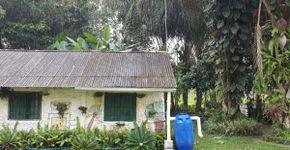 Alunos no PA criam filtro que transforma água da chuva em potável