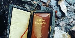 Foto: (Reprodução/Instagram)