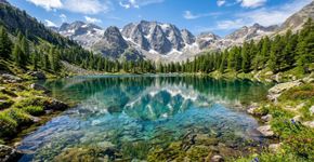 Cientistas eliminaram peixes invasores de 2 lagos de montanha na Espanha; 10 meses depois, anfíbios e invertebrados aquáticos voltaram