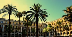 Tour pelas principais atrações turísticas de Barcelona