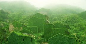 Natureza ocupa vilarejo abandonado na China