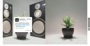 Você acha que conversar com uma planta ajuda no seu crescimento? Participe da experiência via Twitter