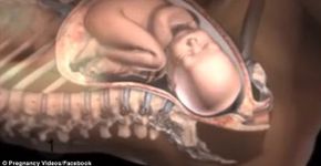 Foto: (© Pregnancy Videos/Facebook)