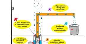Jovem brasileiro cria sistema de captação de água do chuveiro