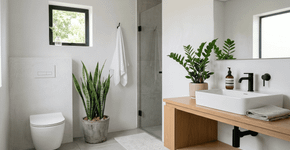 Nas casas japonesas não há odor no banheiro porque o ambiente não é perfumado com spray, mas sim ventilado com pequenas plantas que absorvem a umidade naturalmente