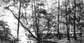 Mostra fotográfica “Sementes ao Vento” entra em cartaz no Senac Lapa Scipião