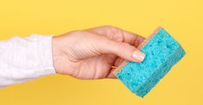 Foto: (iStock/Toxitz)