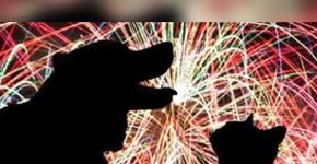 Cidade italiana só faz festa com fogos de artifício silenciosos em respeito aos animais