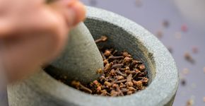 Foto: (simonkr/istock)