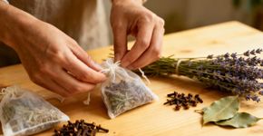 Essa planta no armário espanta traças melhor que produtos químicos