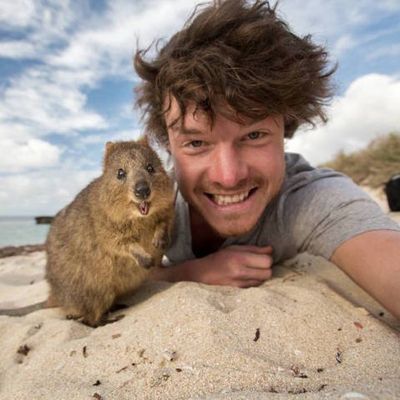 Fotógrafo tira selfies com animais
