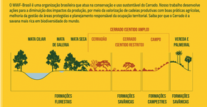 WWF cria infográficos para celebrar o ‘Dia Nacional do Cerrado’