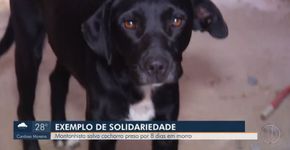 Foto: (Reprodução / Inter TV)
