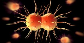 Foto: (Peddalanka Ramesh Babu/istock)